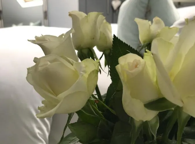 公寓 The Bed In A Shed 多尼戈尔